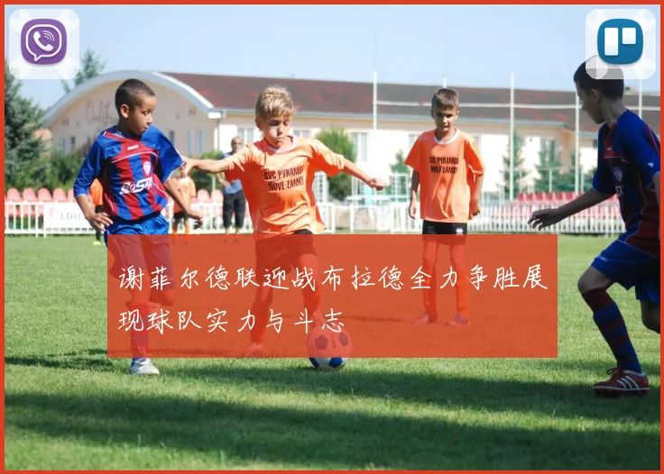 谢菲尔德联迎战布拉德全力争胜展现球队实力与斗志