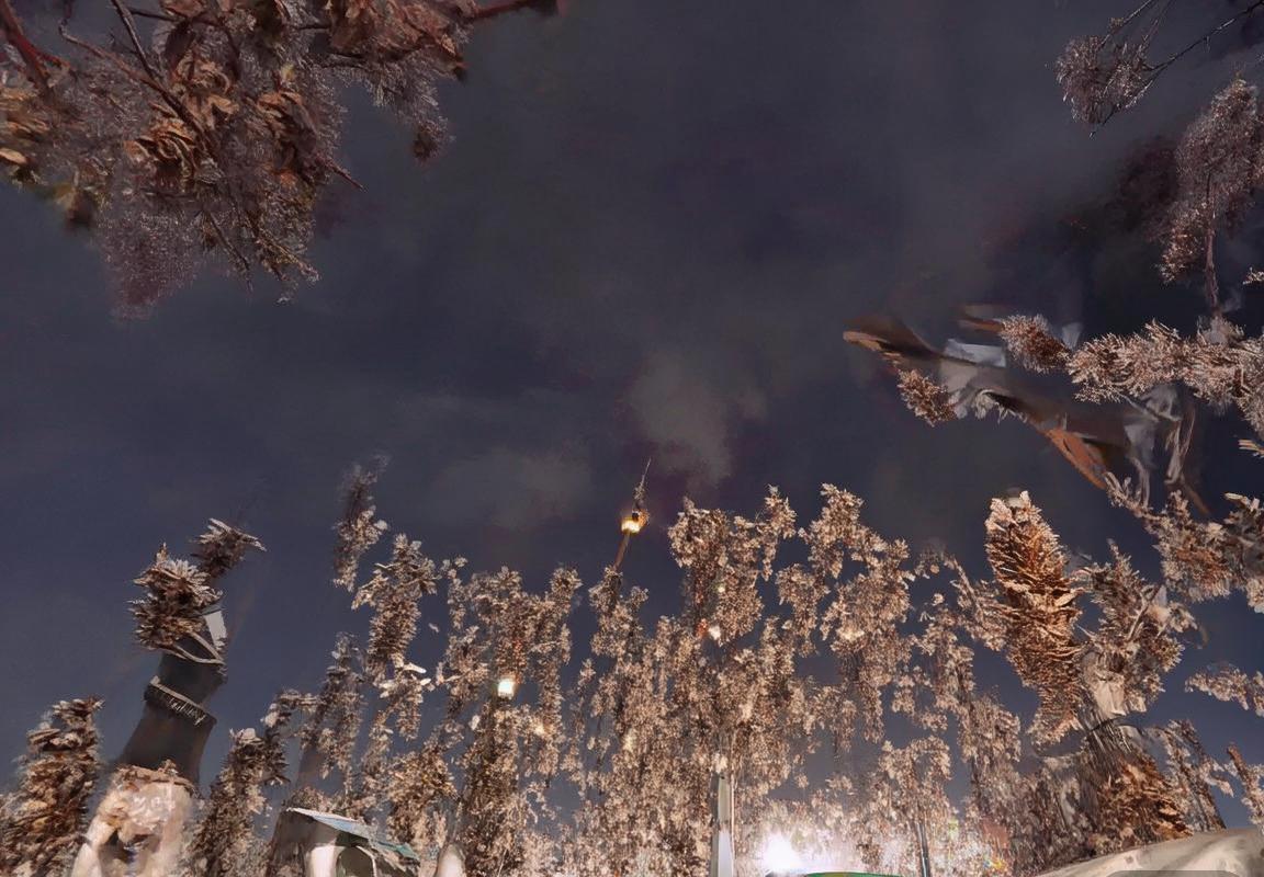 弗拉门戈vs基多大学：激情对决背后的足球精神解析(图2)